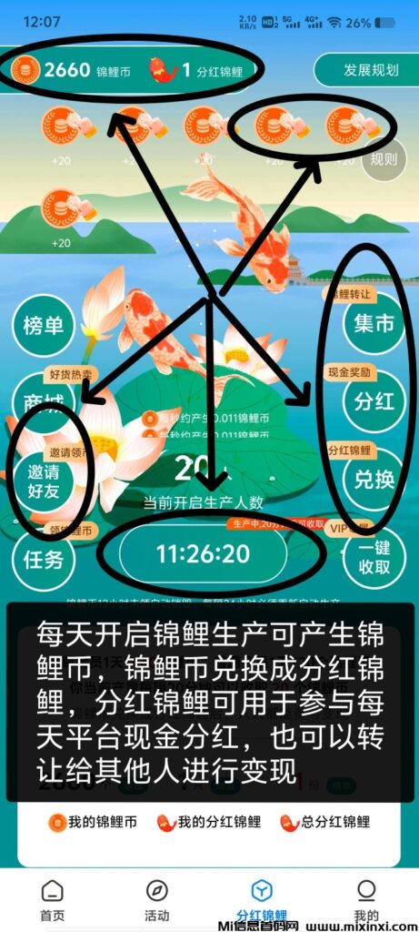 首码【锦鲤芬虹】-首码项目网