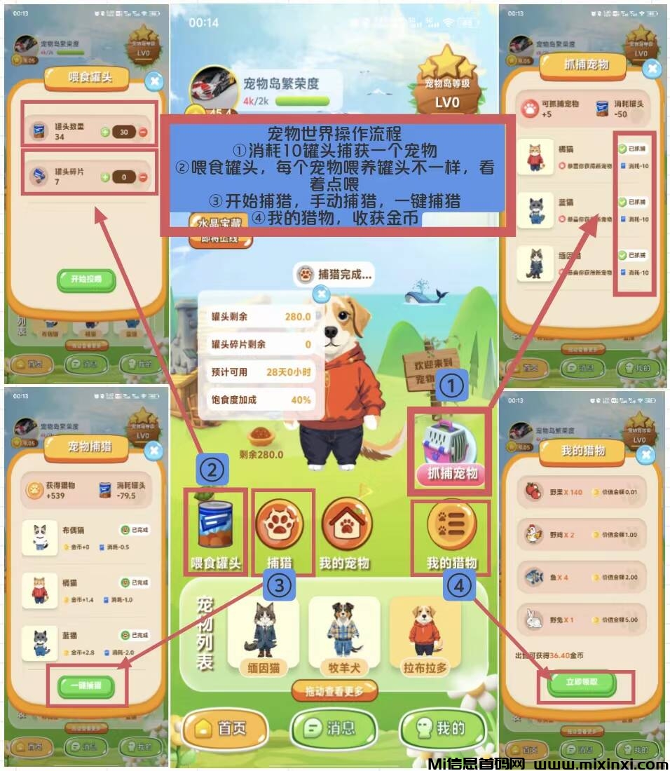 《宠物世界》免费零撸，自带回收，苹果~安卓都可以玩-首码项目网