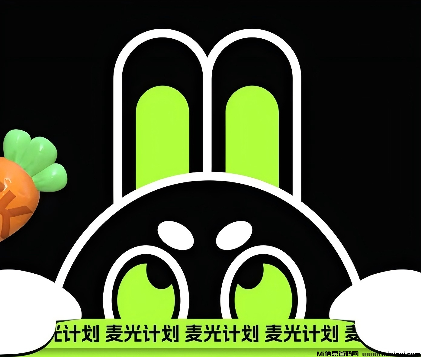 linxuanzhi-首码项目网