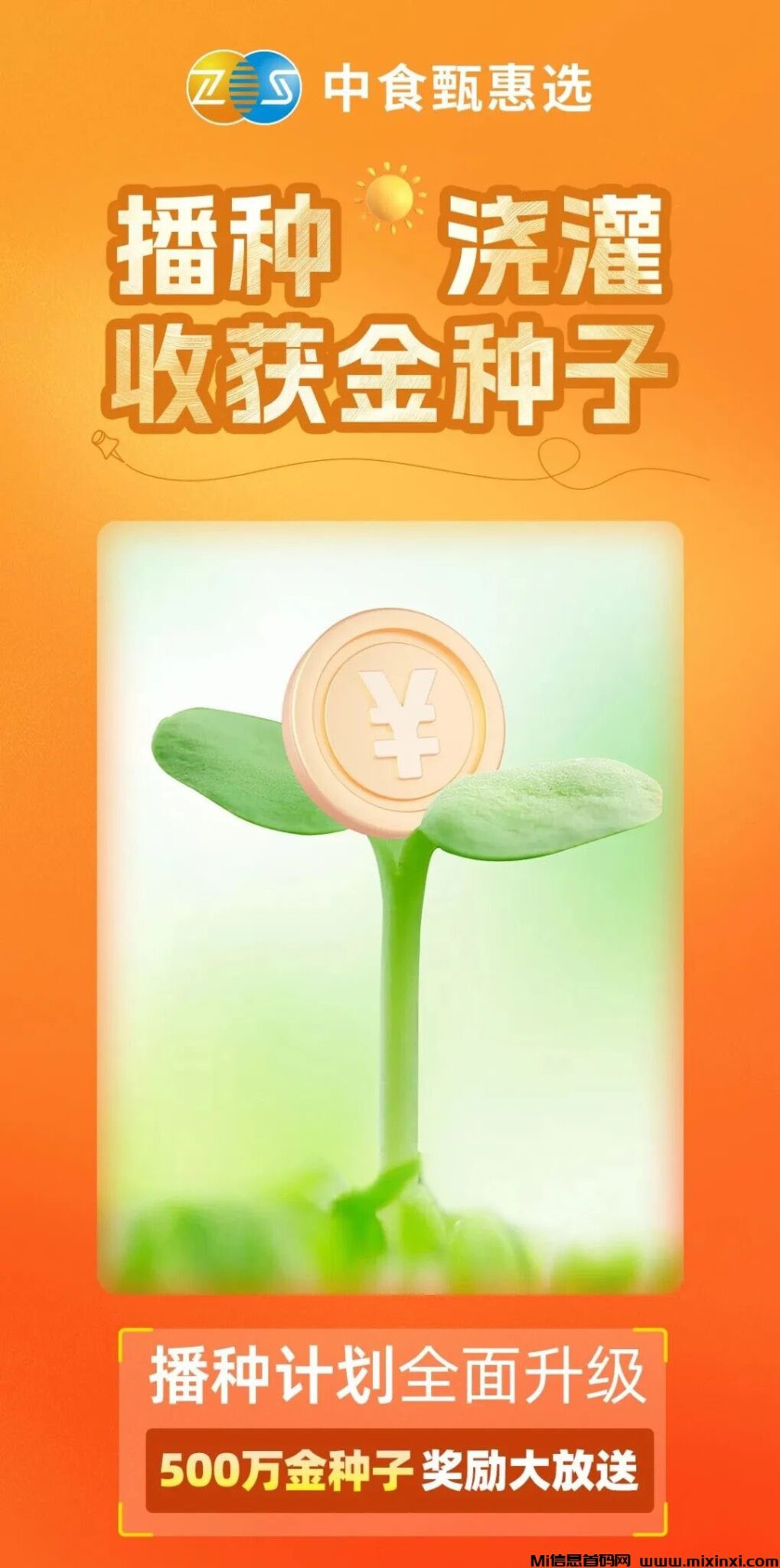 20241126092858720-202411265025650