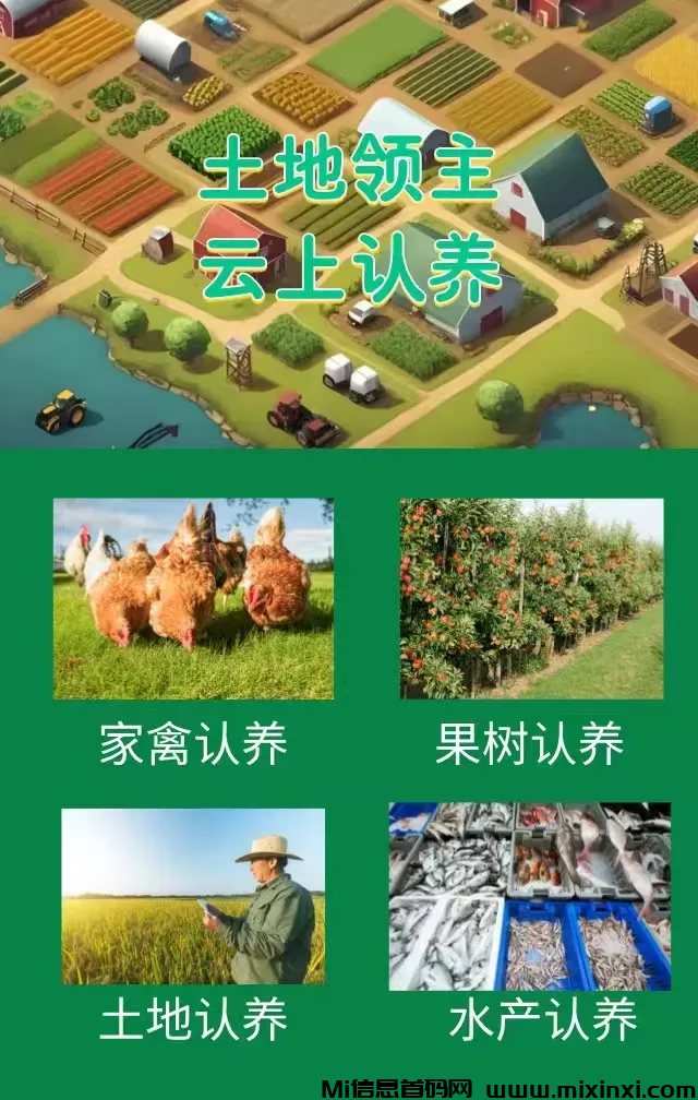 土地领主2.0，零撸项目最新版解说，未来可期！-首码项目网