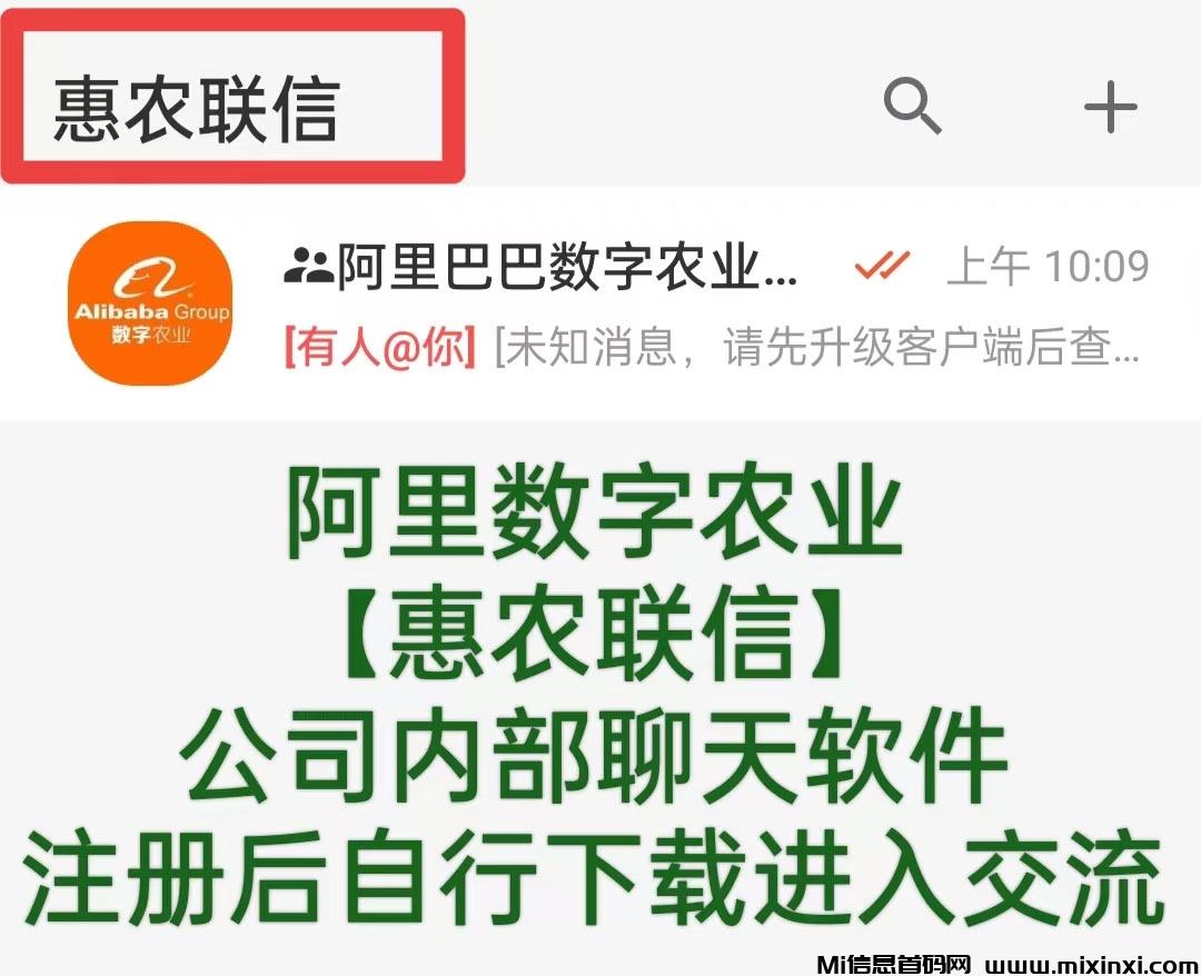 20241221174620565-2024122111110650