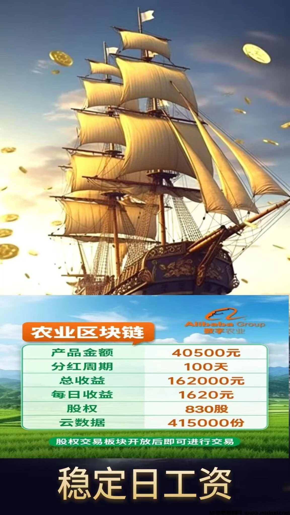 20241221174628607-20241221111232060