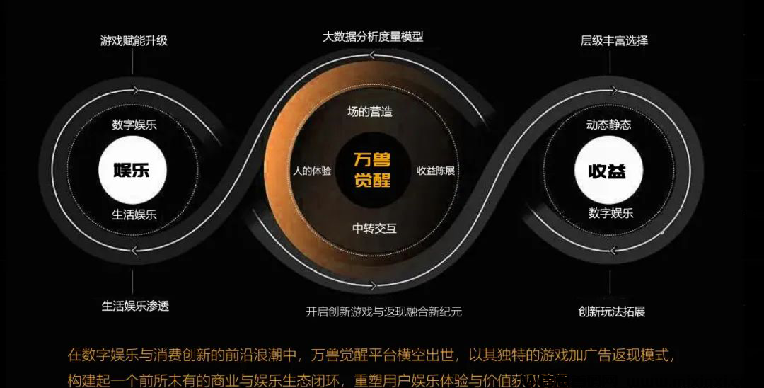 20241230115035958-202412302006556056