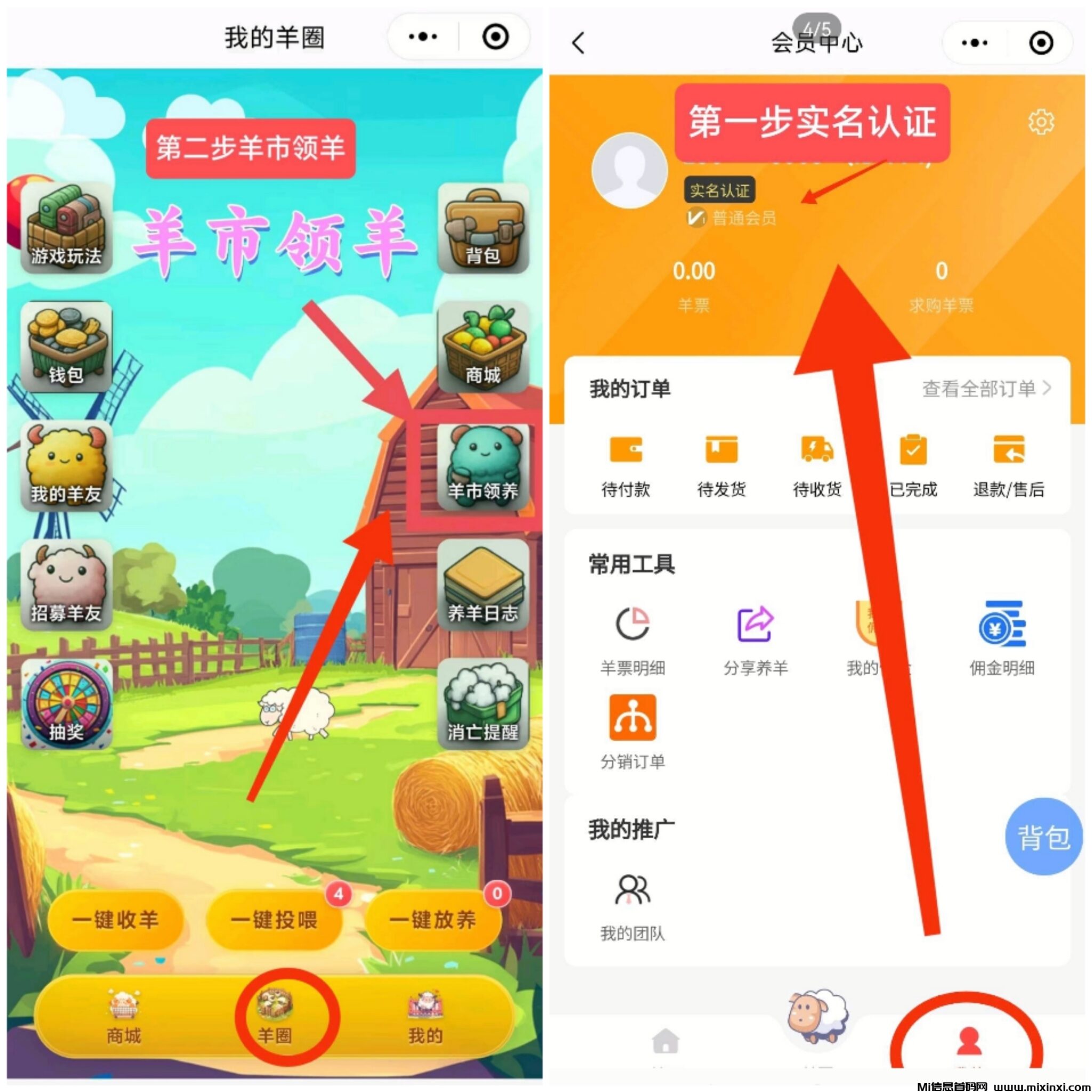 20241231205800390-Collage_20241231_083336