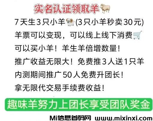 20241231205800918-IMG_20241231_080924