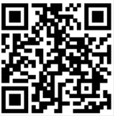 20250117215005221-IMG_202501179886_222x226