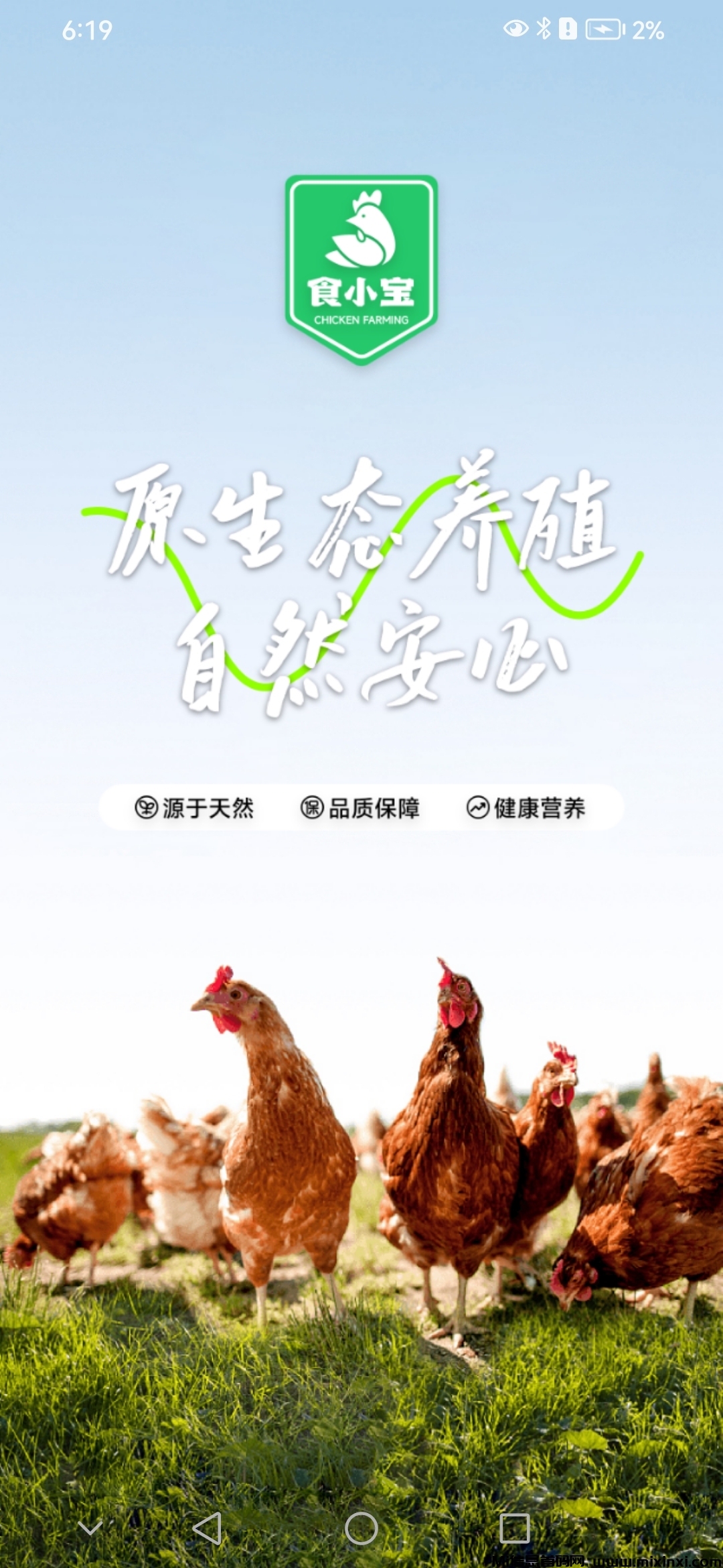 今日首码养鸡赚钱鸡蛋也可卖-首码项目网