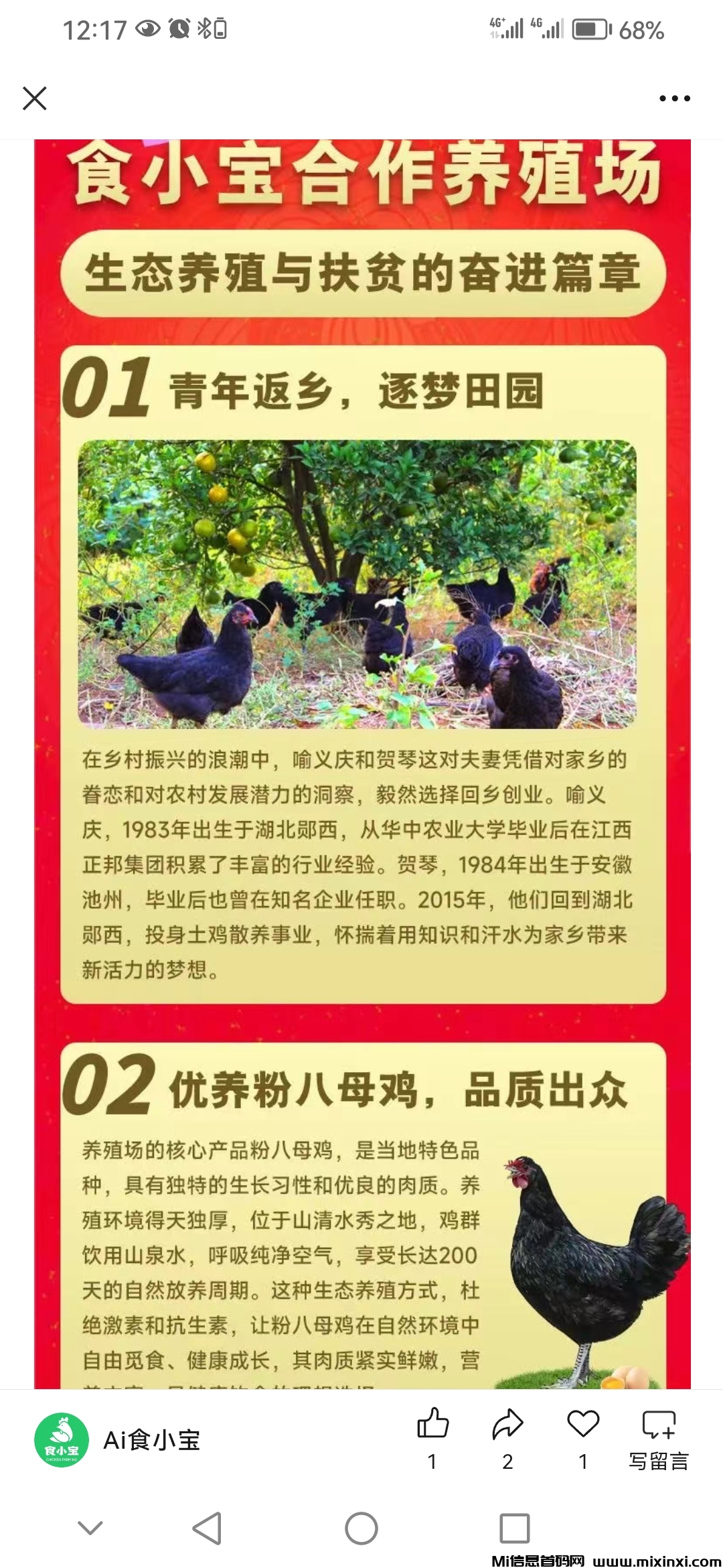 首码小宝养鸡赚钱项目刚上线，推广暴利对接大小团长-首码项目网