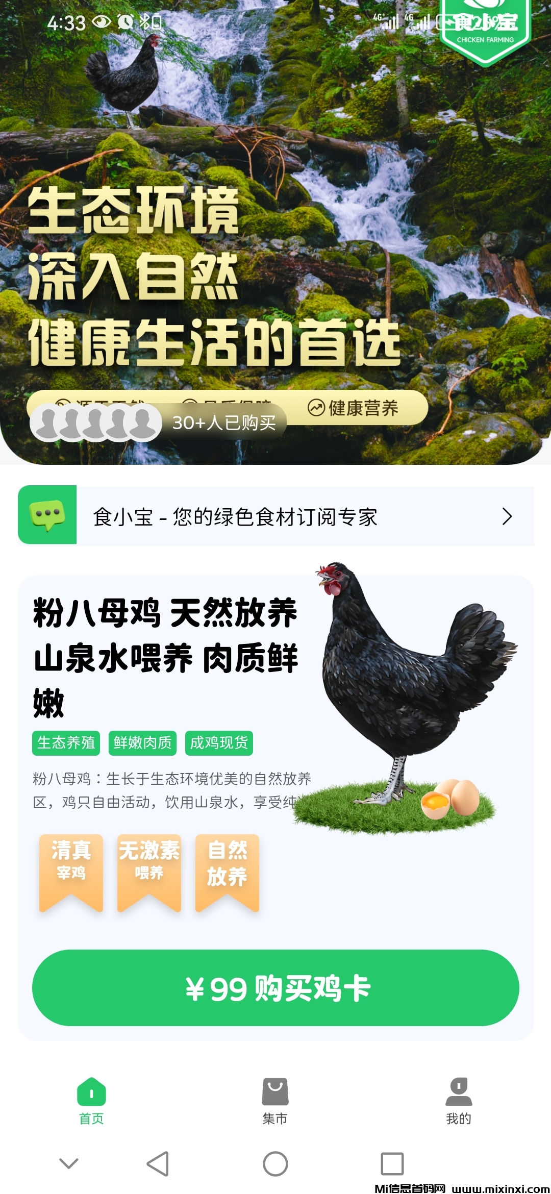 首码食小宝养鸡合作社刚上线对接大小团长-首码项目网