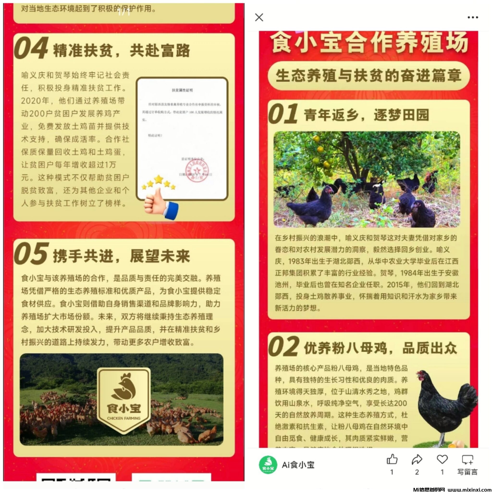 20250201122540504-Collage_20250201_104350