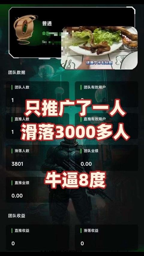 王炸首码8度全网公排自动滑落八度日入过万-首码项目网
