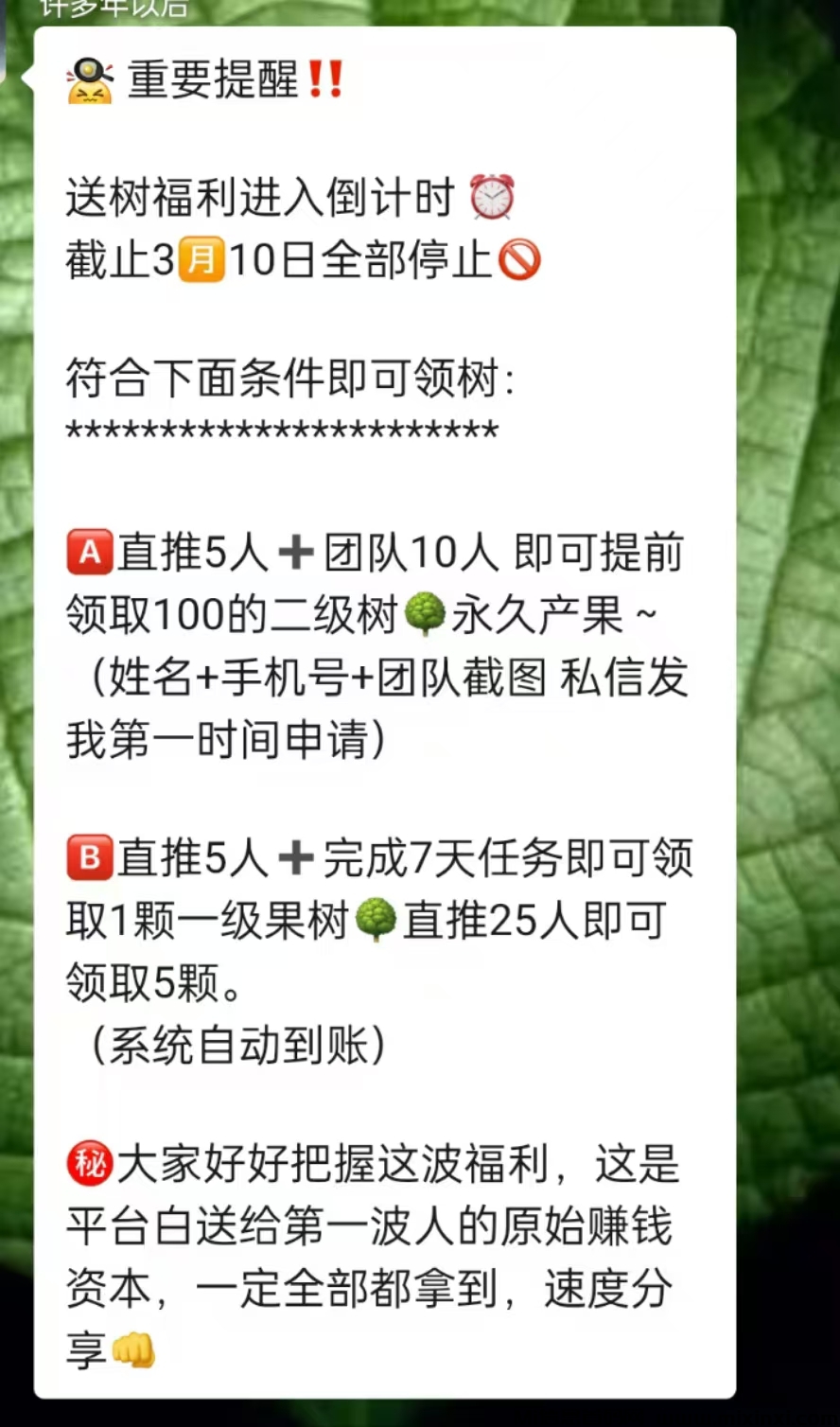 20250306030810948-mmexport1741201248677