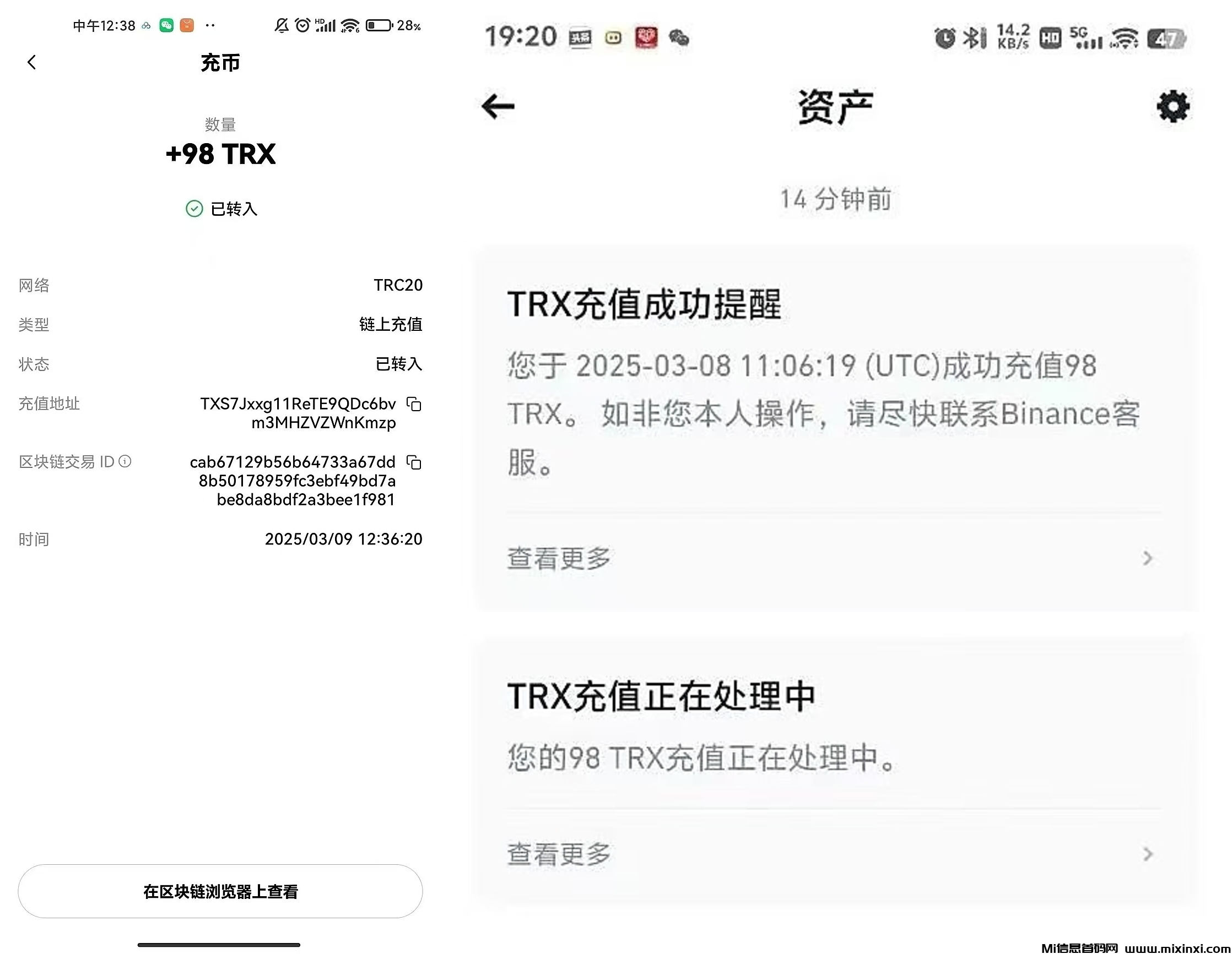 20250309180404856-202503091758215199