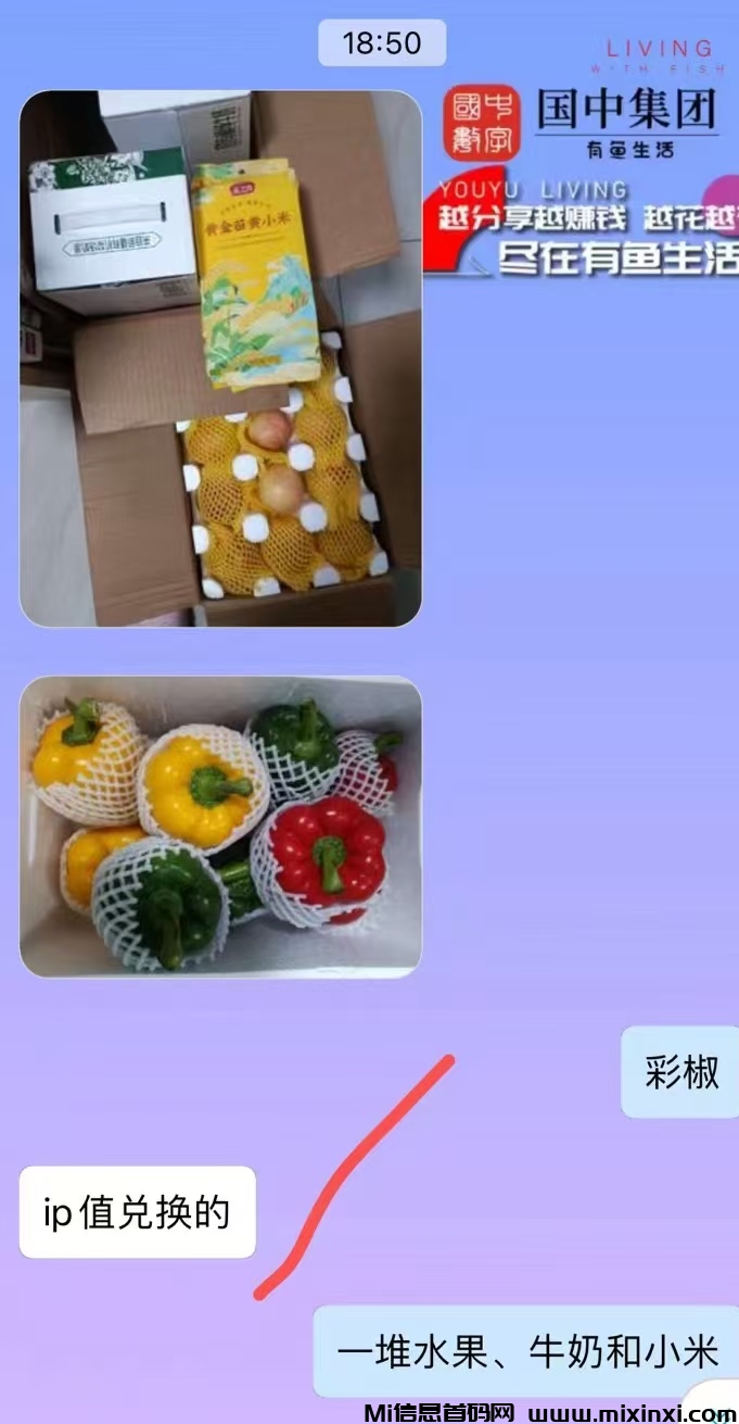 20250310023732505-mmexport1741543752046