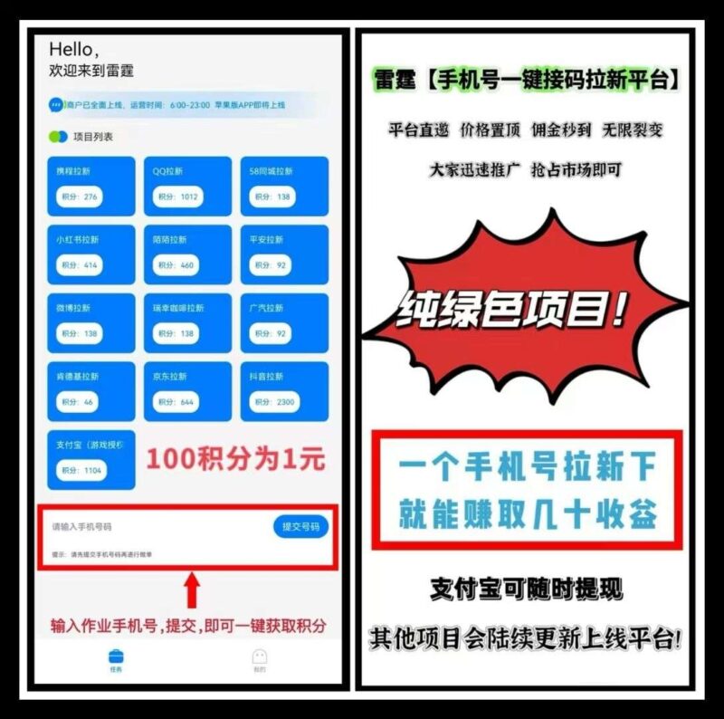雷霆,一键拉新,一手项目,价格置顶-首码项目网