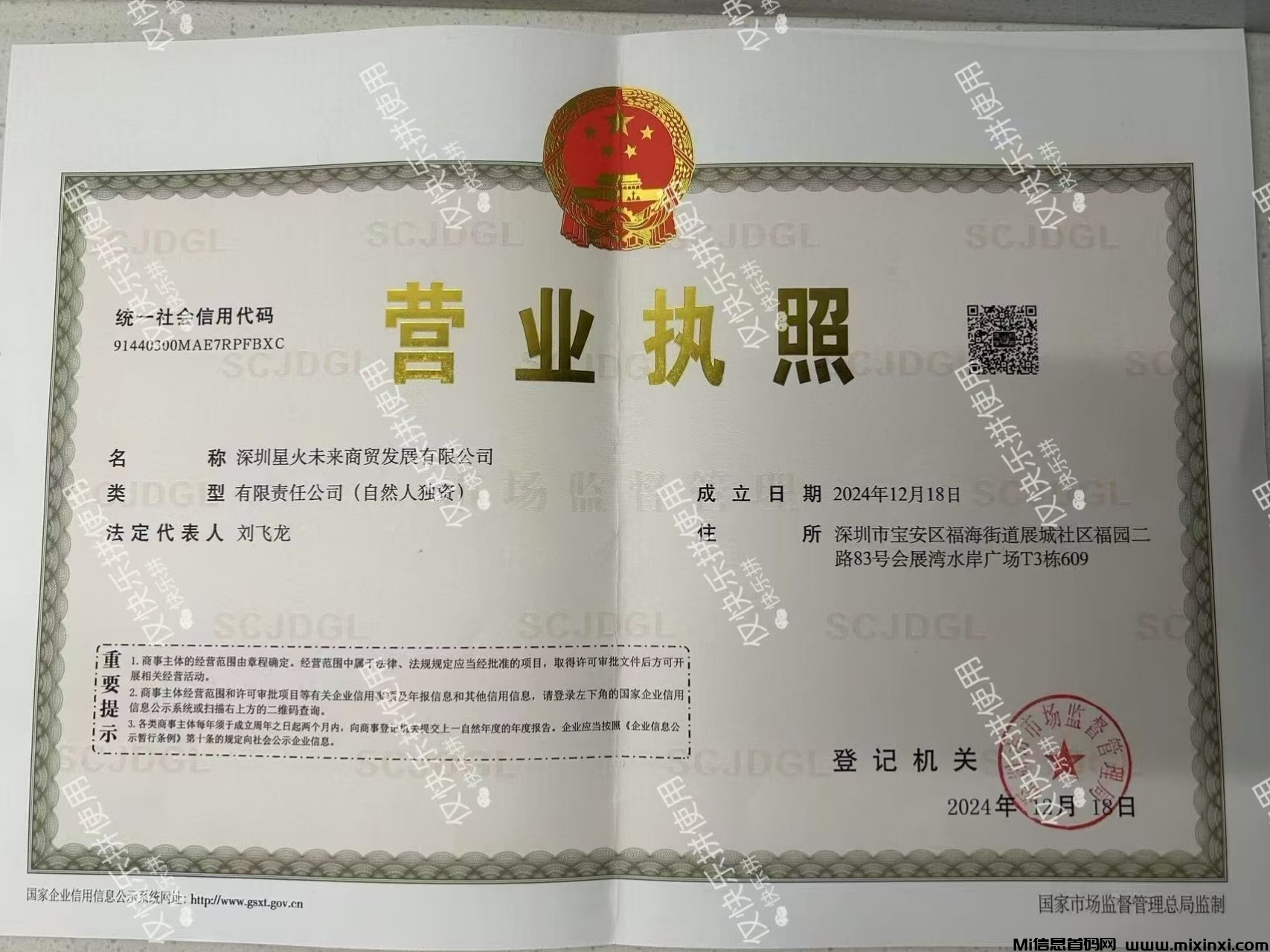 20250407171155207-营业执照