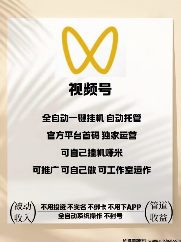 视频号免费ai挂机,単窗口每日30左右-首码项目网
