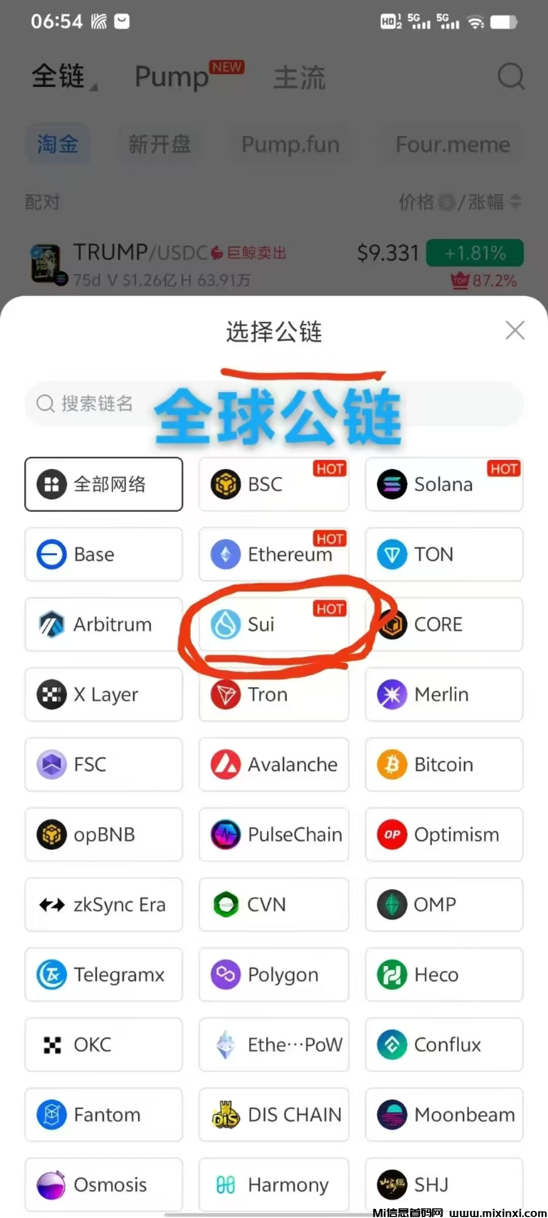 全球主流第三公链原生态-首码项目网