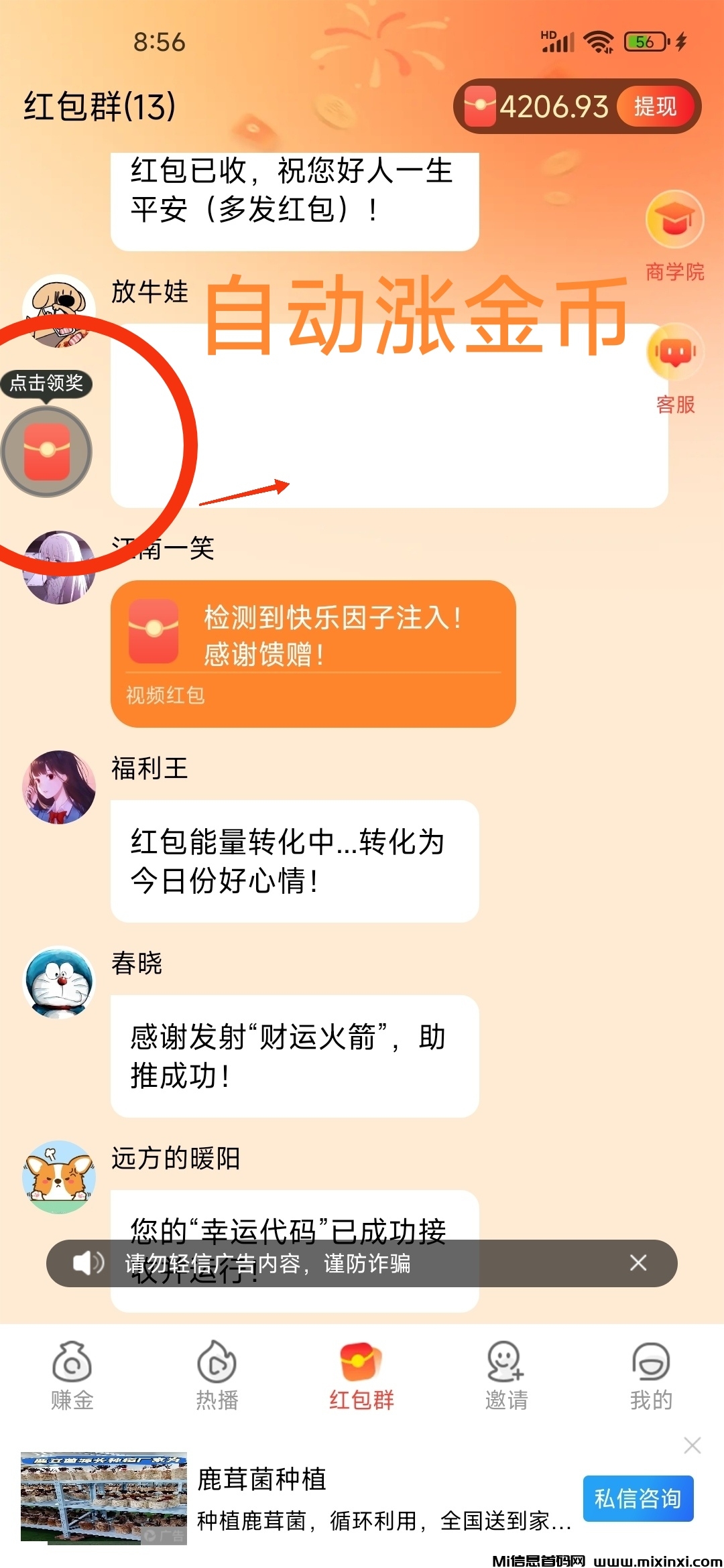 20250617213634650-IMG_20250617_205720