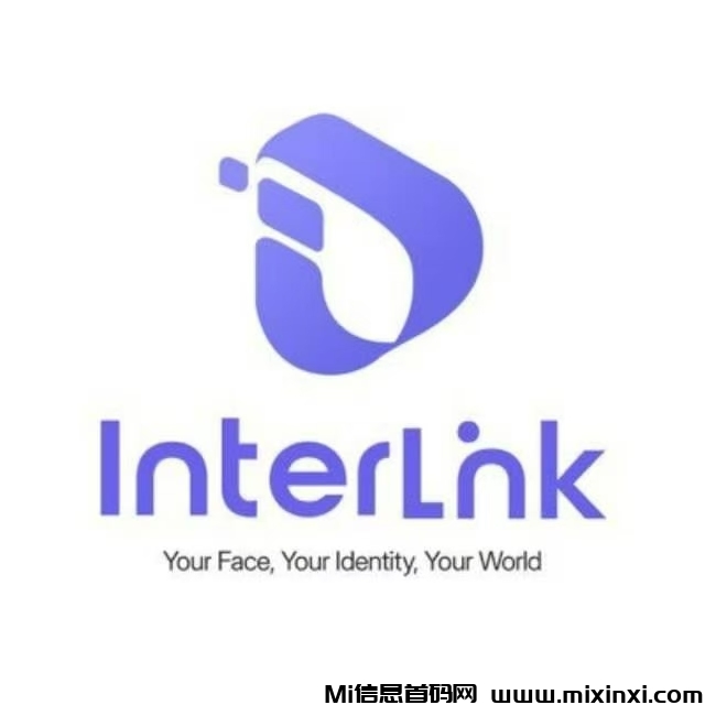 大毛interlink官方，投资纯零撸-首码项目网