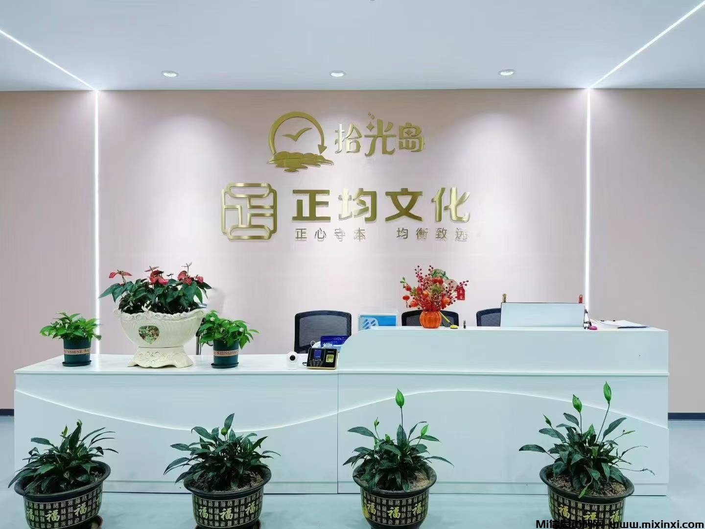 20250821172840462-拾光岛公司