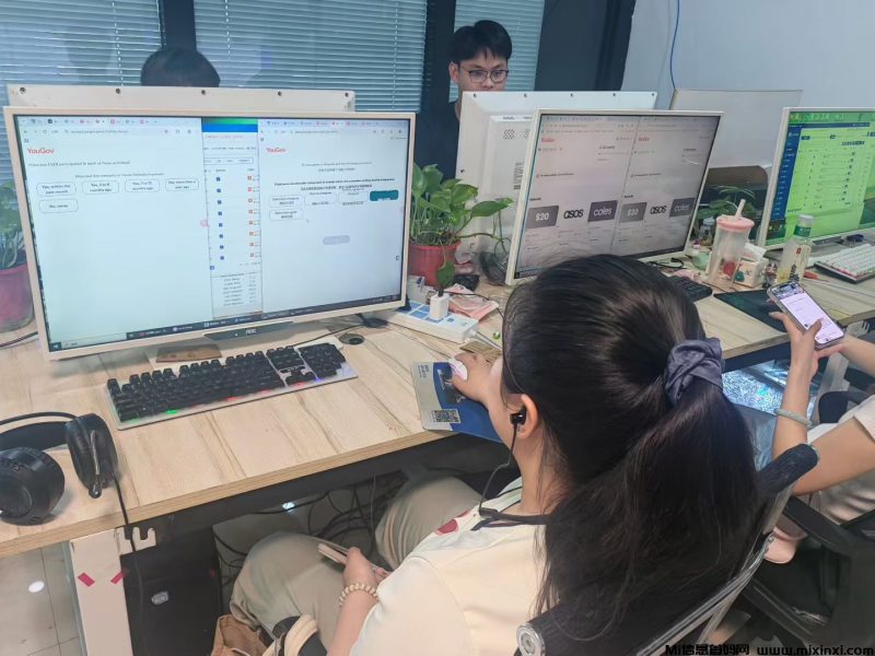 答题挣米，纯计件项目，多劳多得-首码项目网