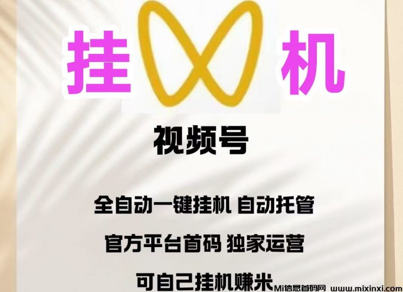 全自动挂机,支持多个视频号同时挂着机操作-首码项目网