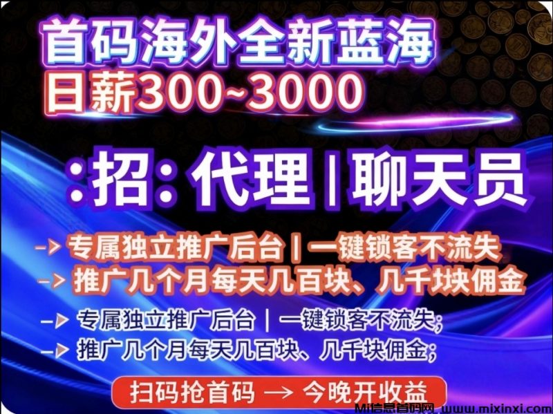 首码海外语聊风口机遇月入过万市场空白-首码项目网