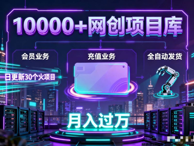 虚拟资源项目站，我是如何靠一个虚拟资源站实现保障的-首码项目网