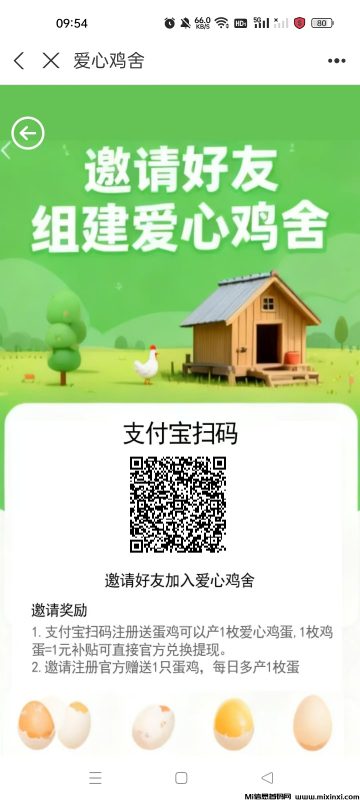 零撸爱心鸡舍-首码项目网