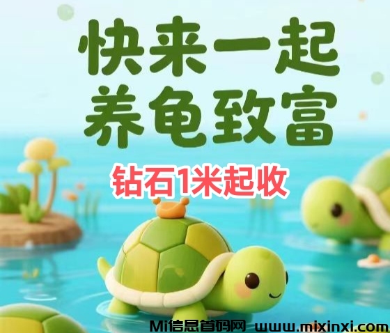 欢乐养龟场，首码刚出-首码项目网